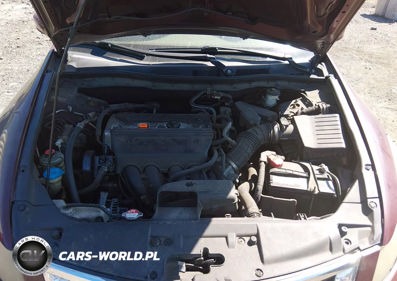 2010 Honda Accord 2.4 Lx VIN:1HGCP2F32AA119767 - 10