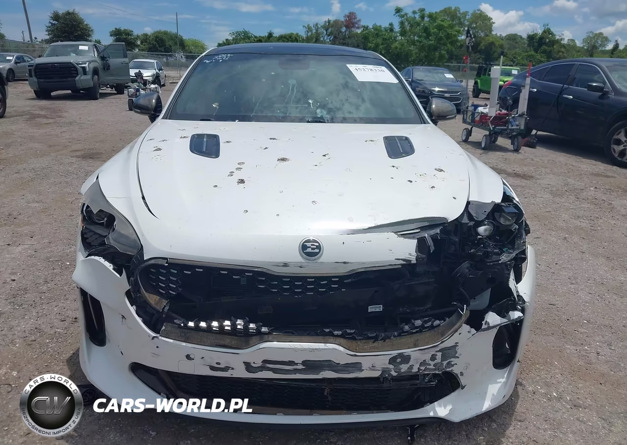 2018 Kia Stinger Gt1 VIN:KNAE45LC3J6036788 - 12