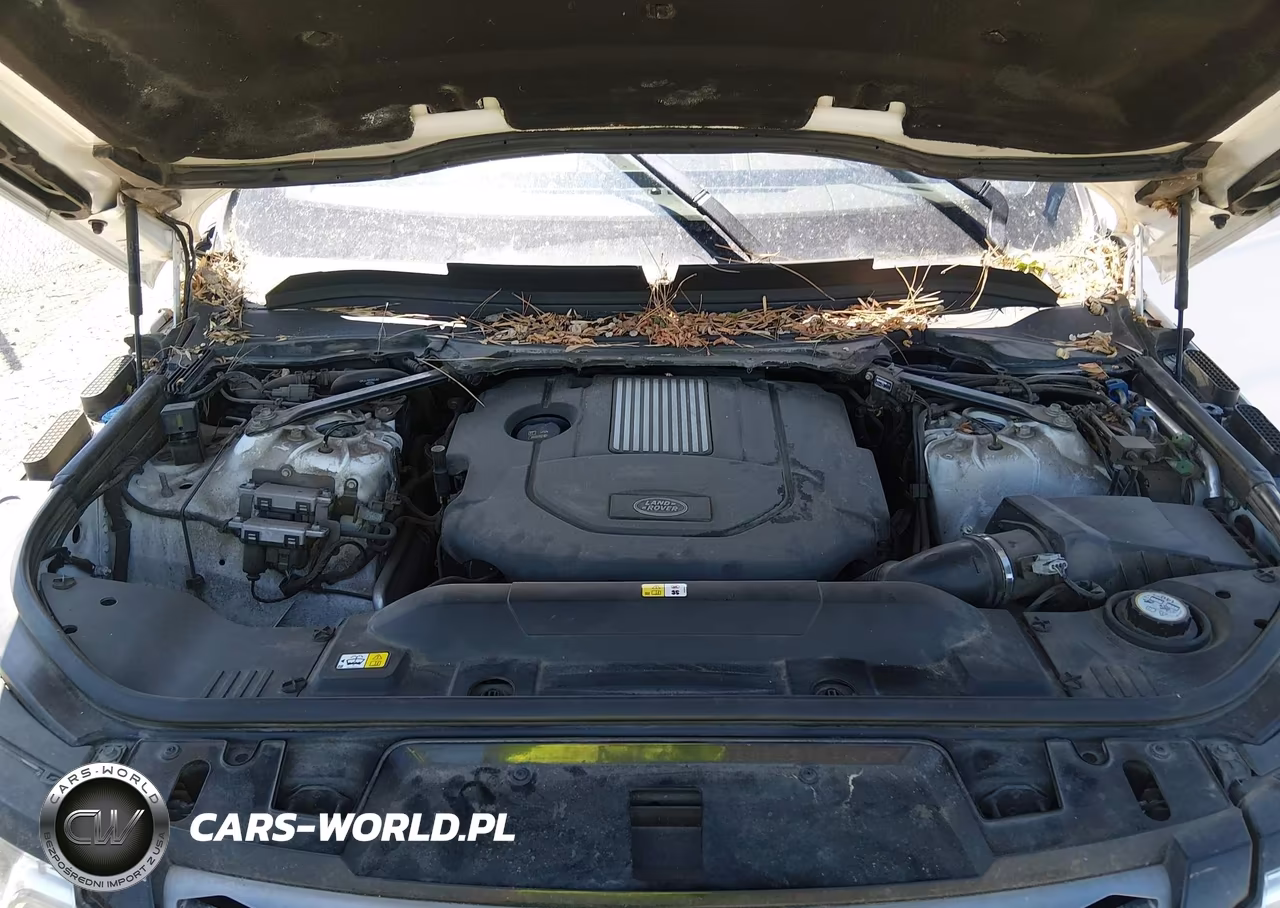 2016 Land Rover Range Rover Sport 3.0L V6 Turbocharged Diesel Se Td6 VIN:SALWG2KF0GA578664 - 10