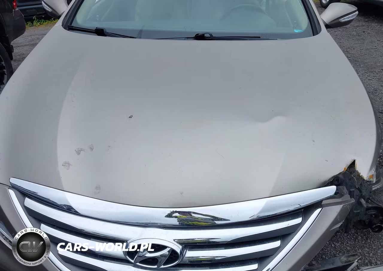 2014 Hyundai Sonata Limited 2.0T VIN:5NPEC4AB0EH925425 - 10