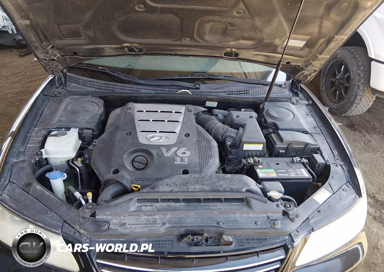 2007 Hyundai Azera Gls VIN:KMHFC46D07A188179 - 10