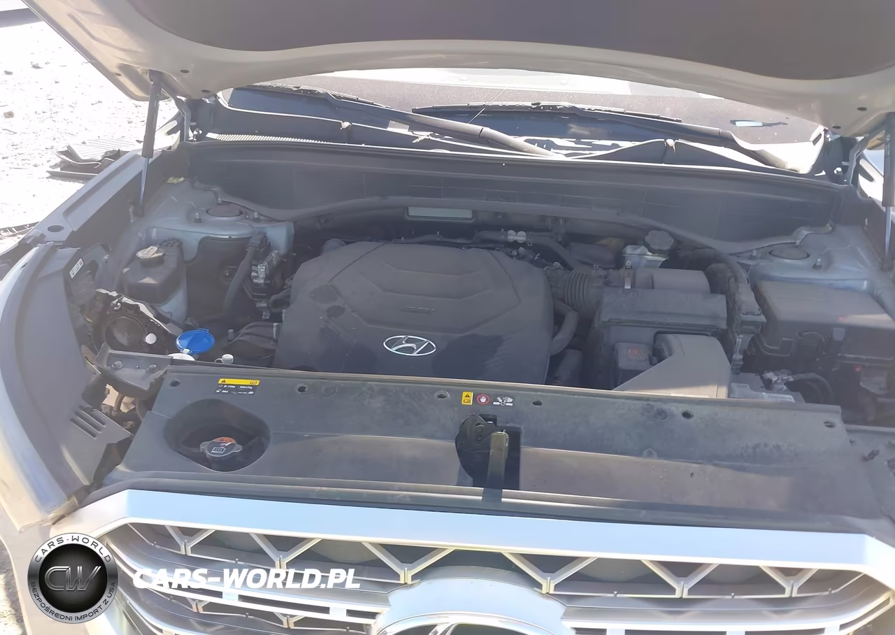 2020 Hyundai Palisade Limited VIN:KM8R5DHE3LU084064 - 10
