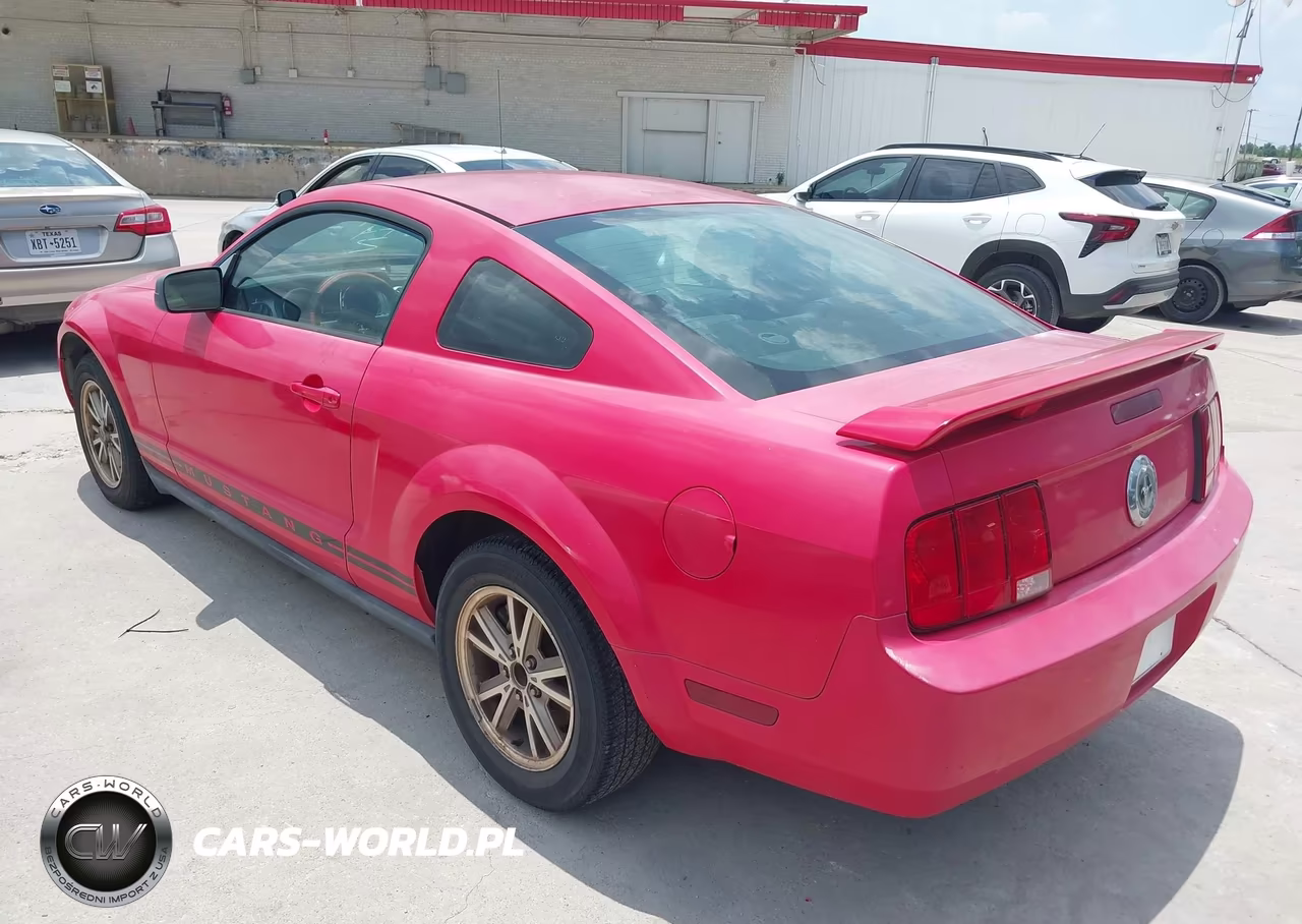 2005 Ford Mustang V6 Deluxe-V6 Premium VIN:1ZVHT80N355238792 - 3