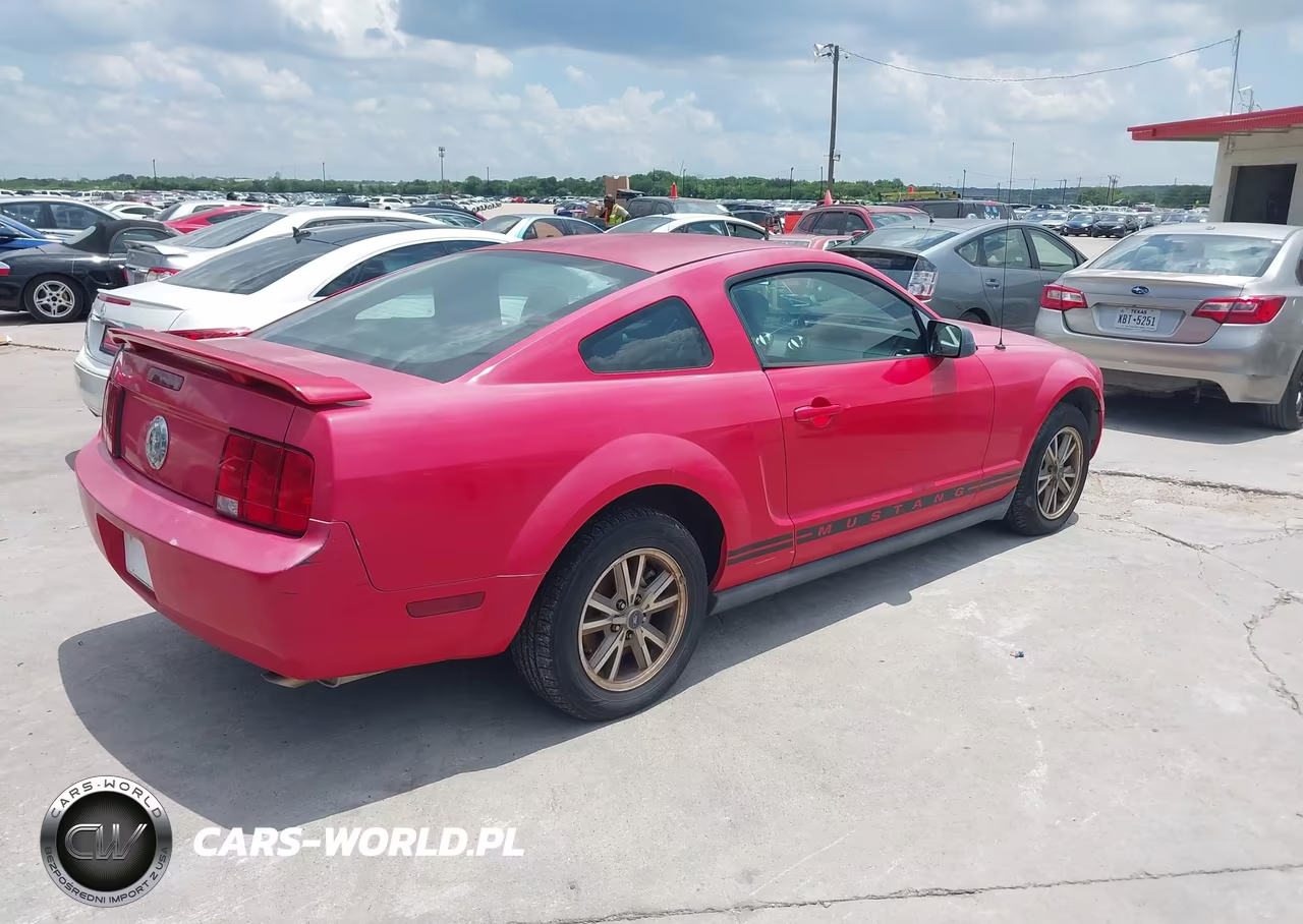 2005 Ford Mustang V6 Deluxe-V6 Premium VIN:1ZVHT80N355238792 - 4