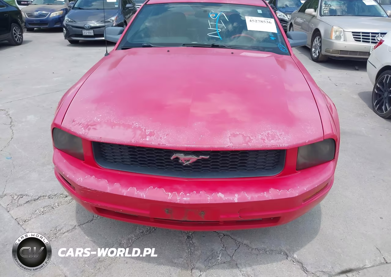 2005 Ford Mustang V6 Deluxe-V6 Premium VIN:1ZVHT80N355238792 - 6