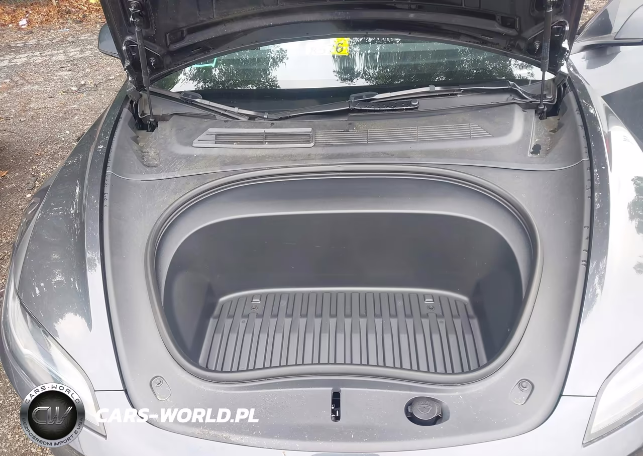 2025 Tesla Model 3 Long Range Rear-Wheel Drive-Standard Rear-Wheel Drive VIN:5YJ3E1EA7SF012480 - 10