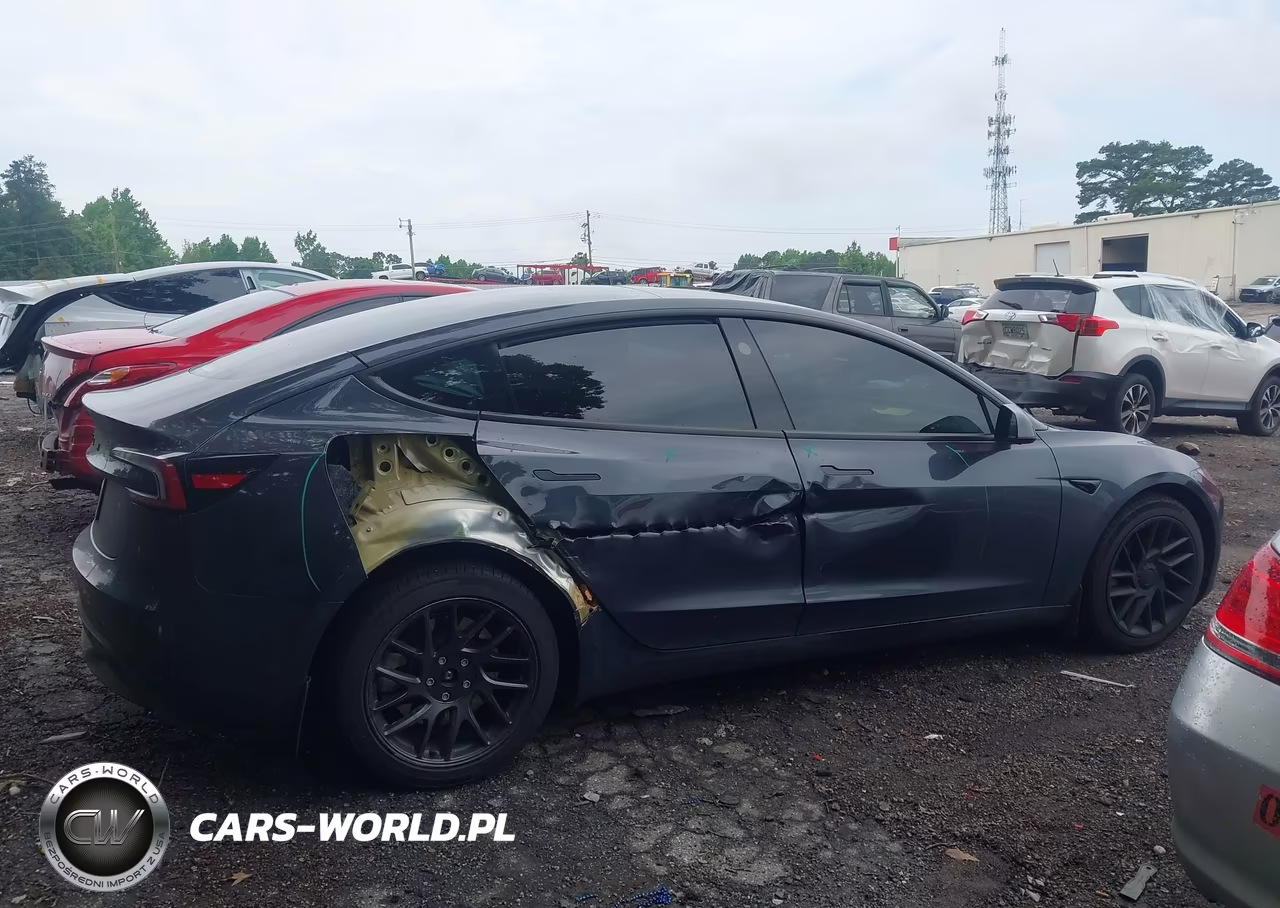 2025 Tesla Model 3 Long Range Rear-Wheel Drive-Standard Rear-Wheel Drive VIN:5YJ3E1EA7SF012480 - 13