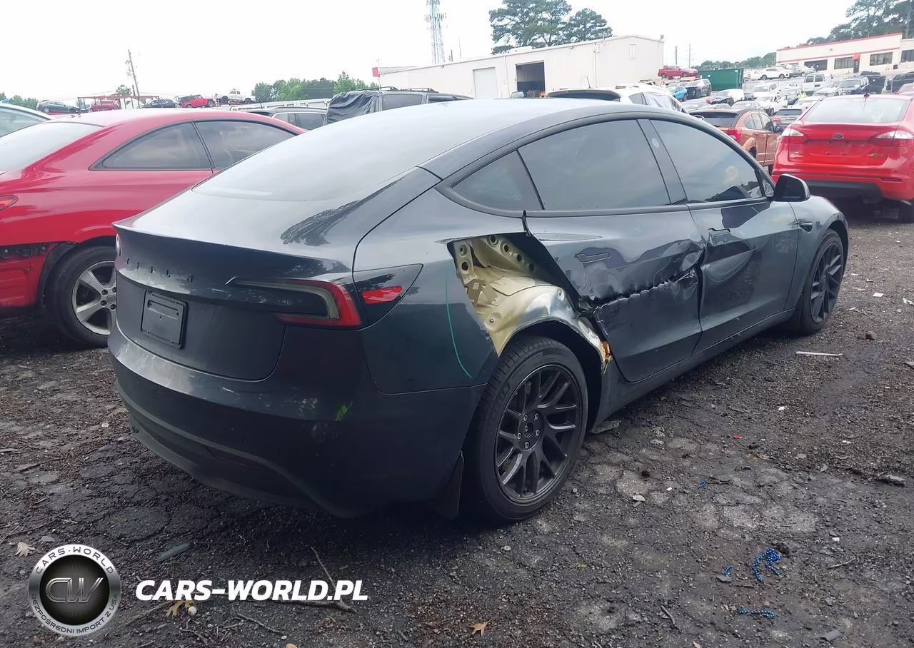 2025 Tesla Model 3 Long Range Rear-Wheel Drive-Standard Rear-Wheel Drive VIN:5YJ3E1EA7SF012480 - 4