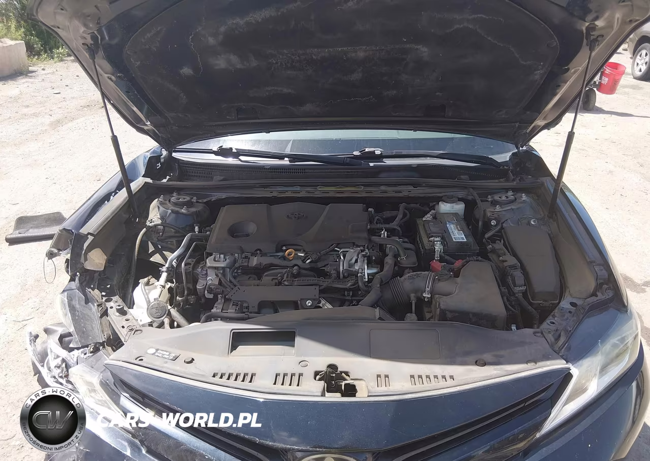 2019 Toyota Camry Le VIN:4T1B11HK1KU754338 - 10