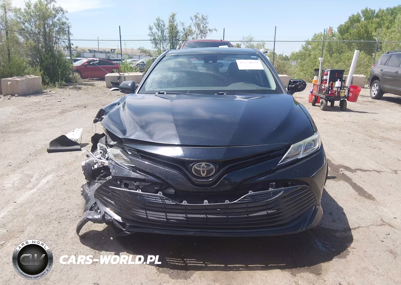 2019 Toyota Camry Le VIN:4T1B11HK1KU754338 - 12