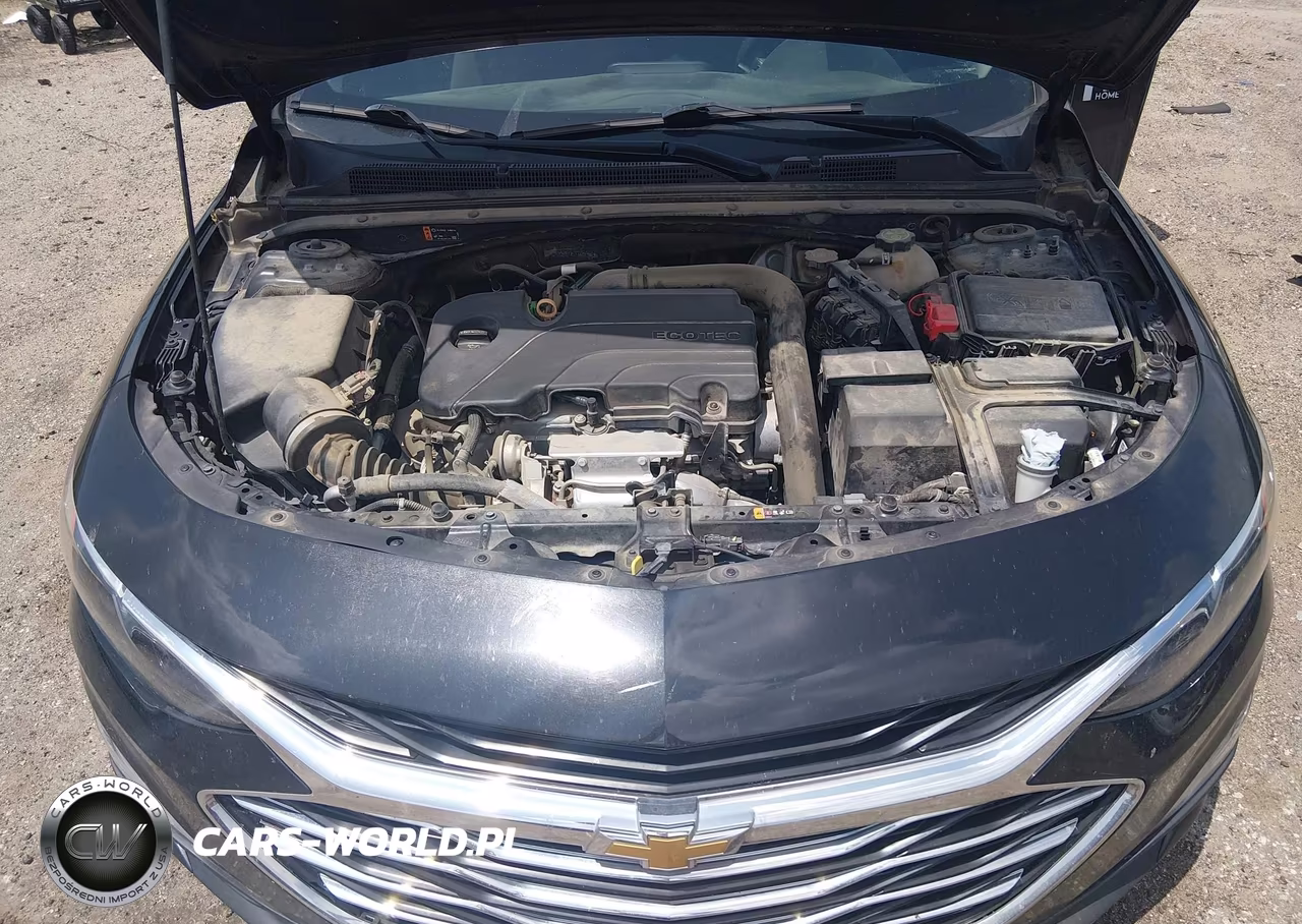 2020 Chevrolet Malibu Fwd Lt VIN:1G1ZD5ST8LF025965 - 10