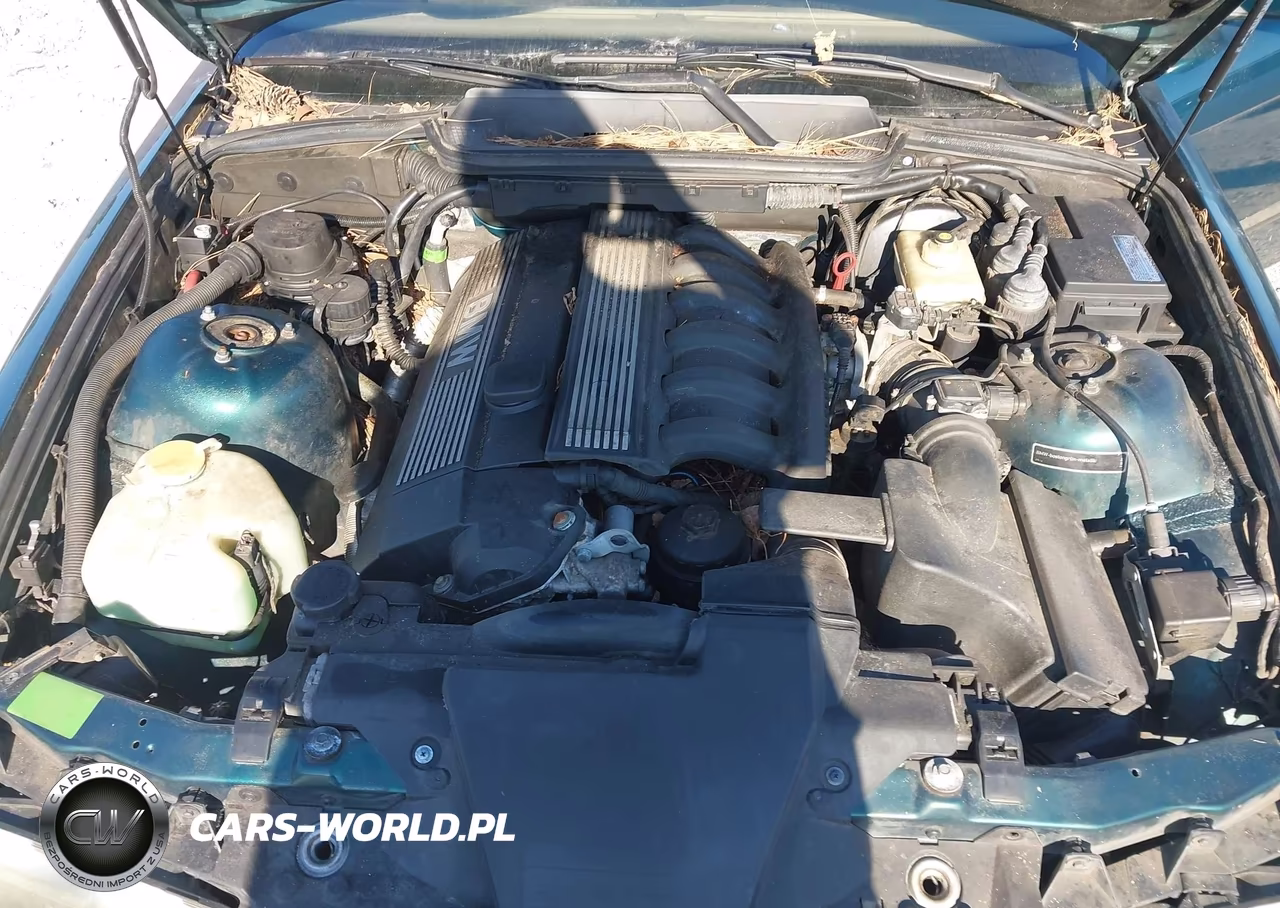 1998 BMW 323Ic VIN:WBABJ832XWEM21024 - 10