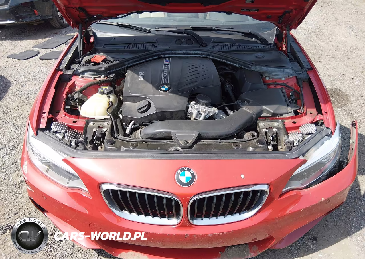2015 BMW M235 VIN:WBA1J7C56FV358729 - 10
