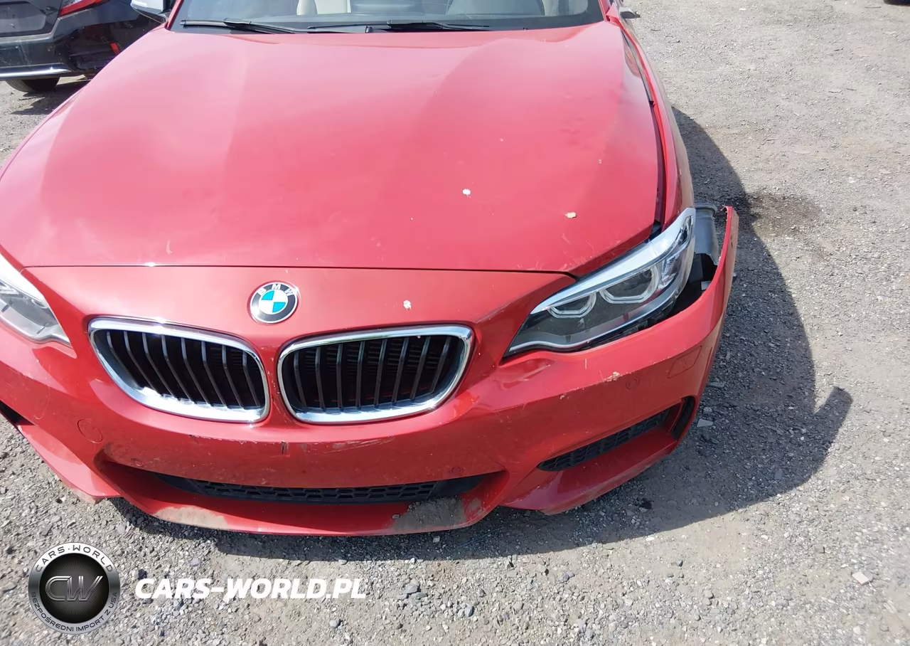 2015 BMW M235 VIN:WBA1J7C56FV358729 - 6