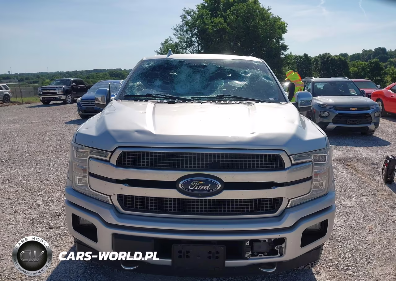 2018 Ford F-150 Platinum VIN:1FTEW1EG9JFE58490 - 12