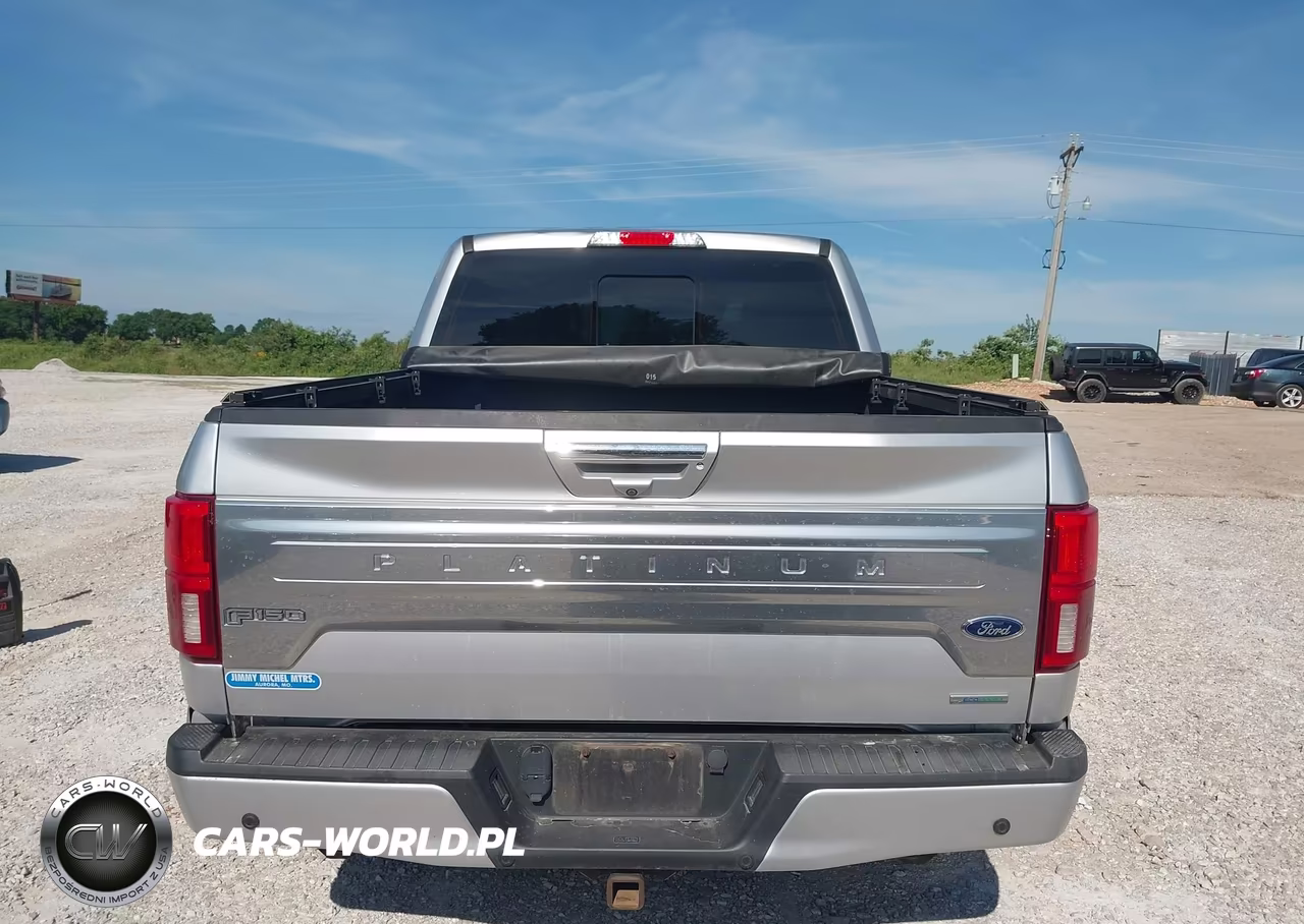 2018 Ford F-150 Platinum VIN:1FTEW1EG9JFE58490 - 16