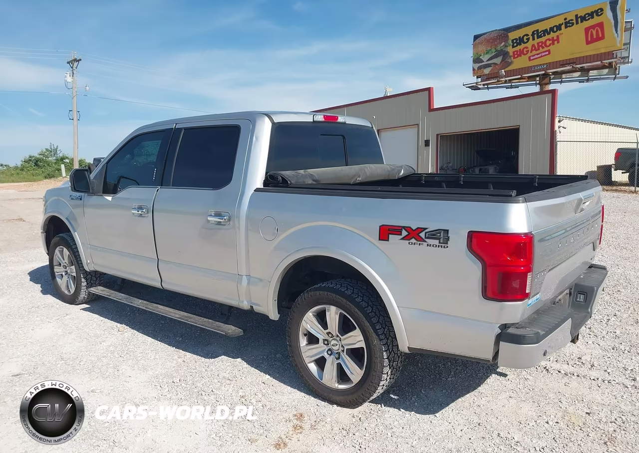 2018 Ford F-150 Platinum VIN:1FTEW1EG9JFE58490 - 3