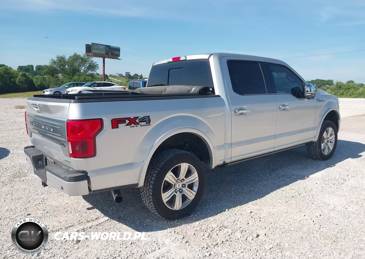 2018 Ford F-150 Platinum VIN:1FTEW1EG9JFE58490 - 4