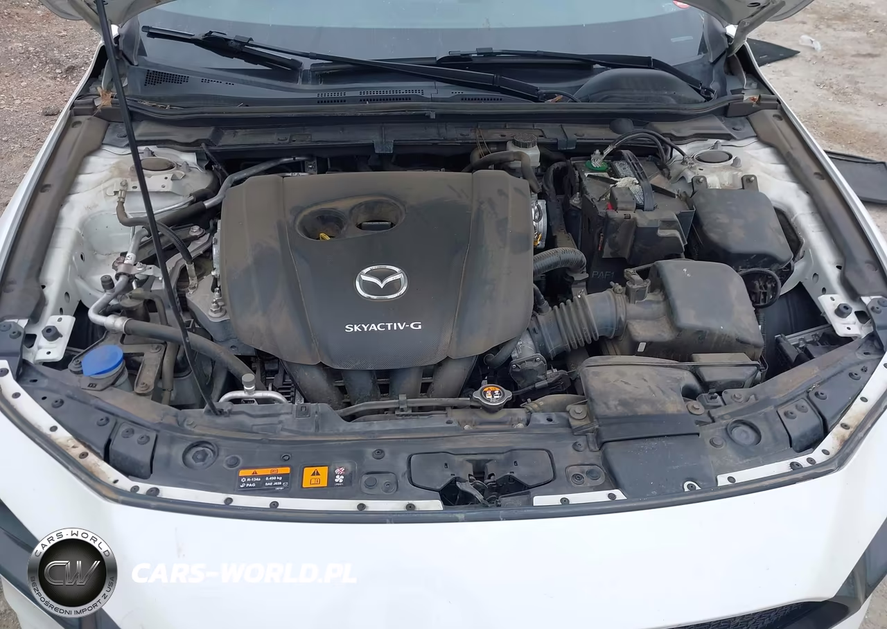 2019 Mazda Mazda3 Preferred Package VIN:JM1BPAMM3K1118242 - 10