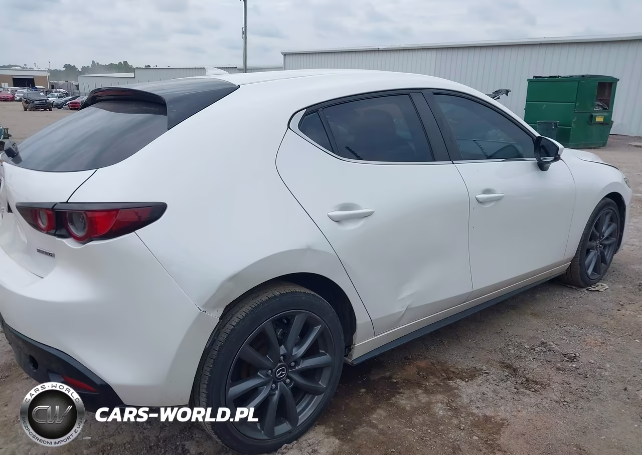 2019 Mazda Mazda3 Preferred Package VIN:JM1BPAMM3K1118242 - 13