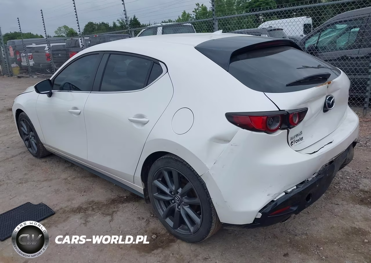 2019 Mazda Mazda3 Preferred Package VIN:JM1BPAMM3K1118242 - 3