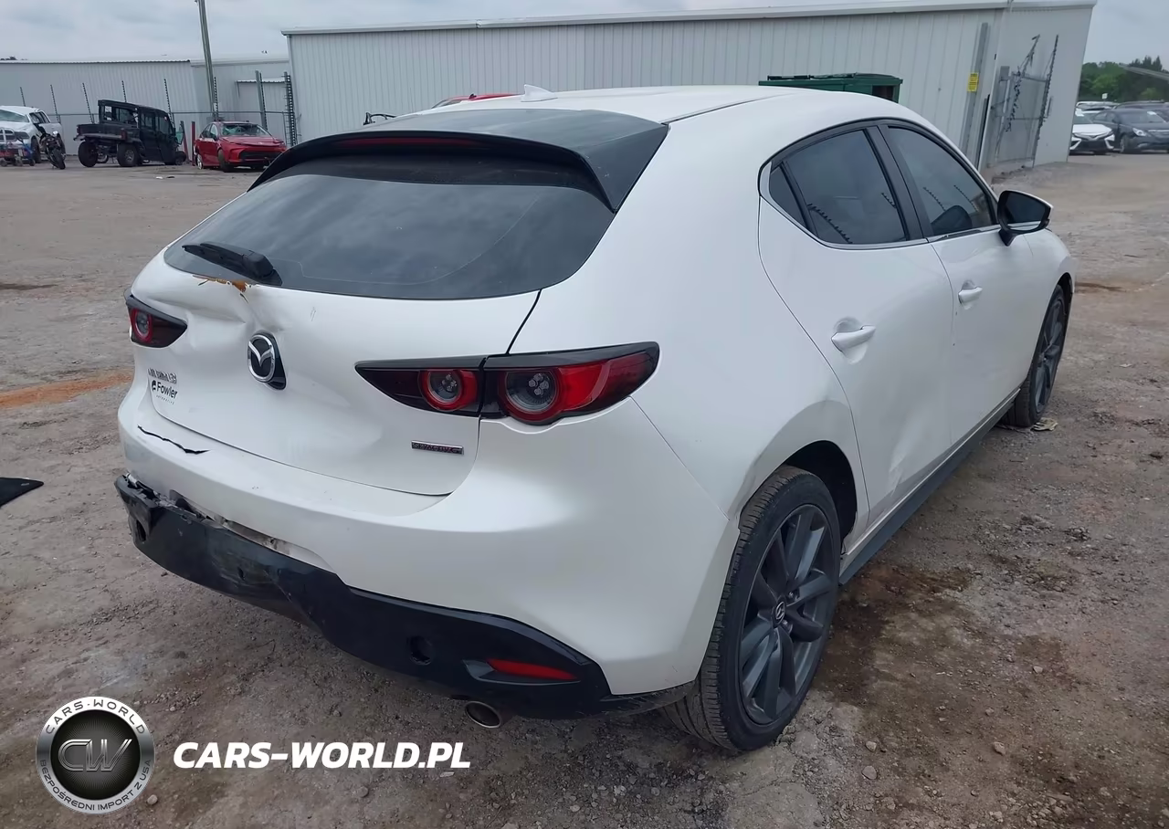 2019 Mazda Mazda3 Preferred Package VIN:JM1BPAMM3K1118242 - 4