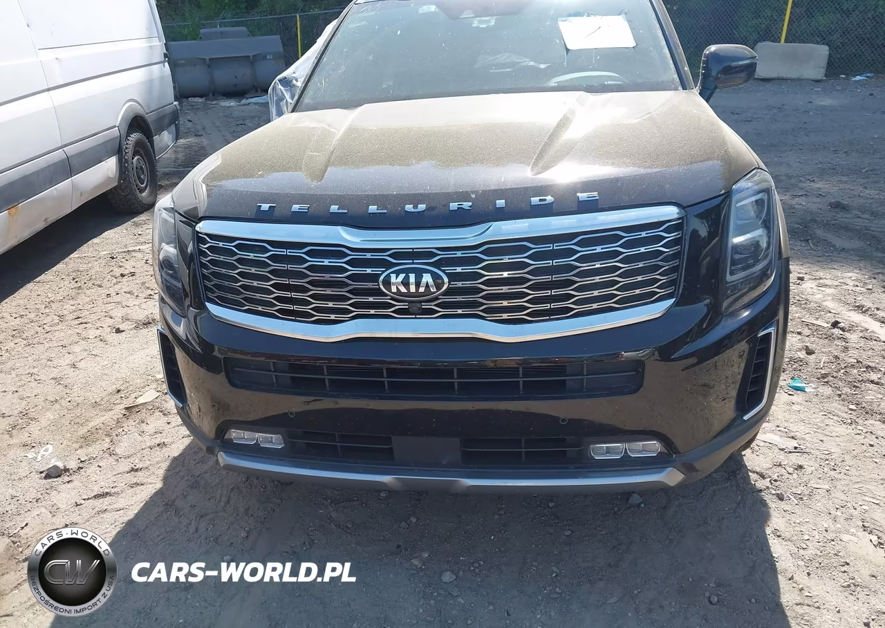 2021 Kia Telluride Sx VIN:5XYP5DHC8MG119162 - 11