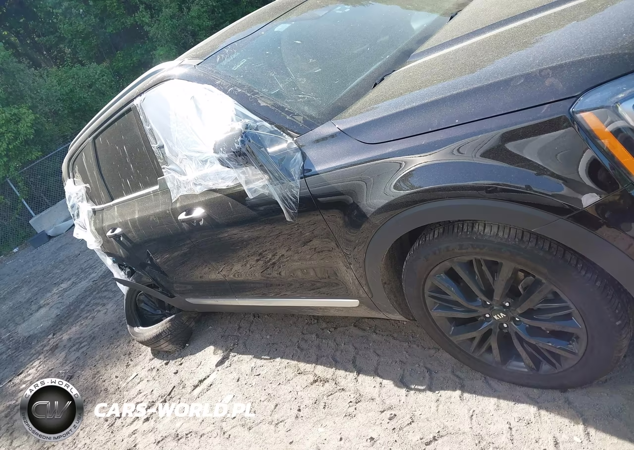 2021 Kia Telluride Sx VIN:5XYP5DHC8MG119162 - 12