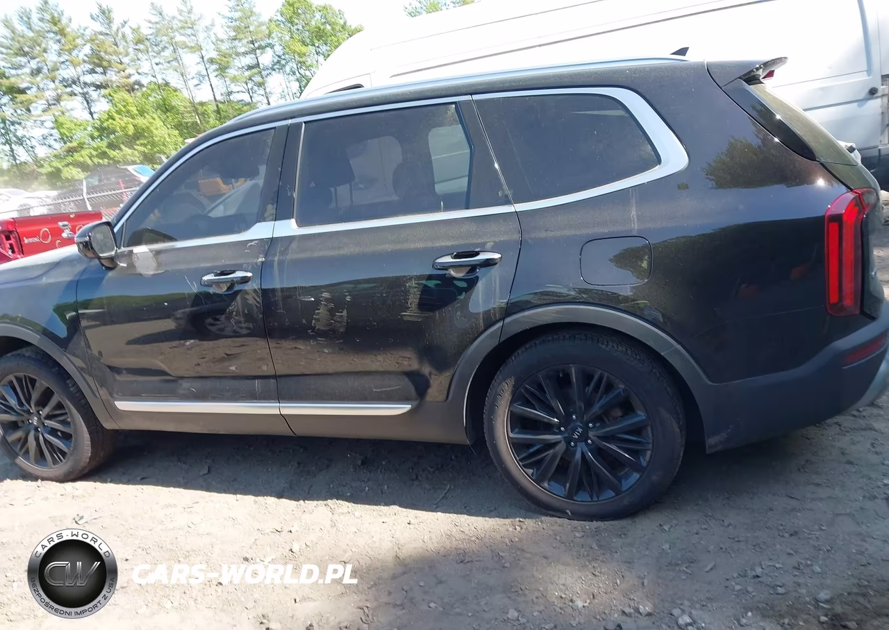 2021 Kia Telluride Sx VIN:5XYP5DHC8MG119162 - 13