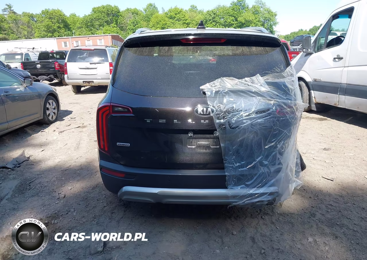 2021 Kia Telluride Sx VIN:5XYP5DHC8MG119162 - 15