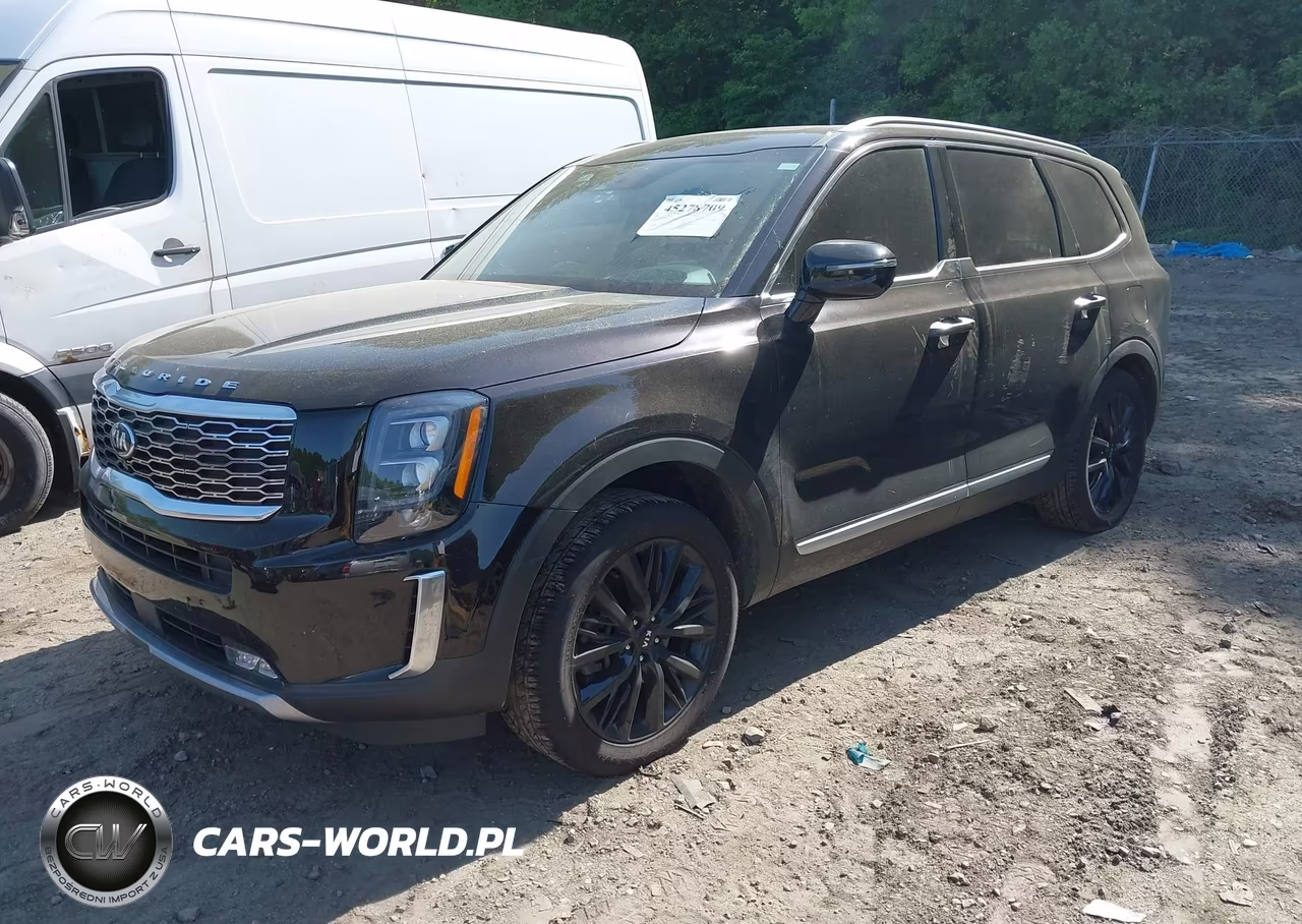 2021 Kia Telluride Sx VIN:5XYP5DHC8MG119162 - 2