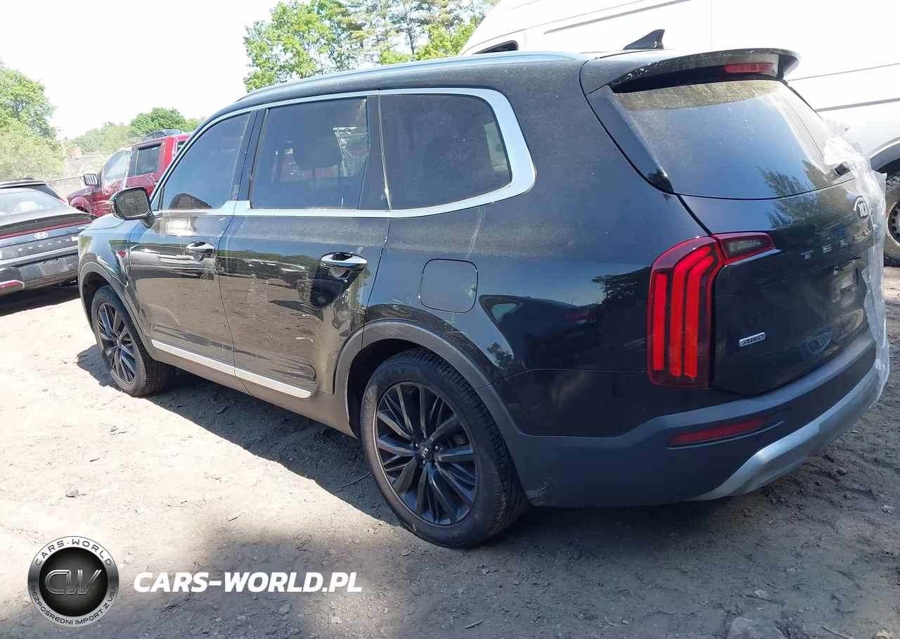 2021 Kia Telluride Sx VIN:5XYP5DHC8MG119162 - 3