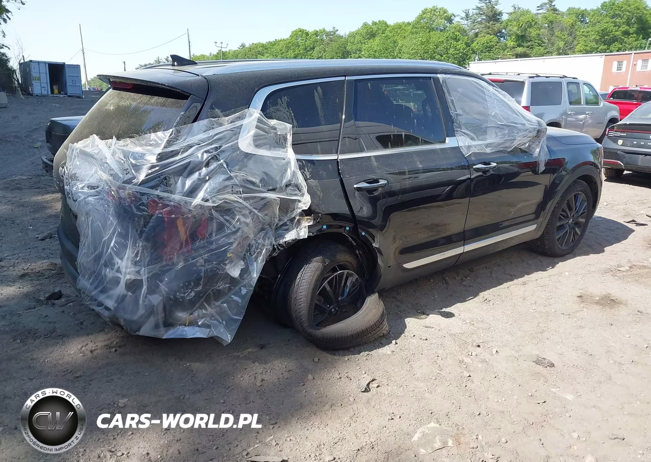 2021 Kia Telluride Sx VIN:5XYP5DHC8MG119162 - 4