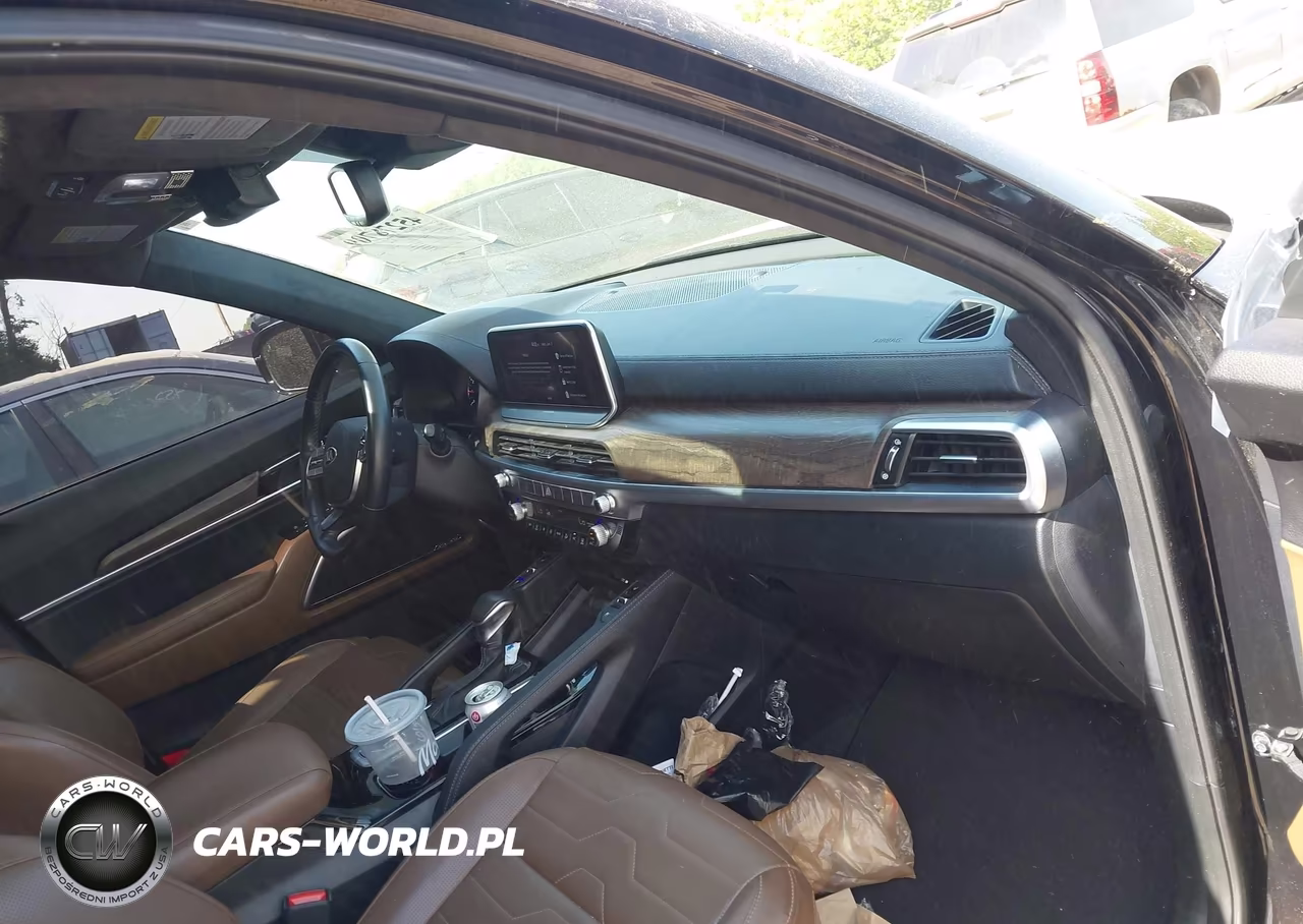 2021 Kia Telluride Sx VIN:5XYP5DHC8MG119162 - 5