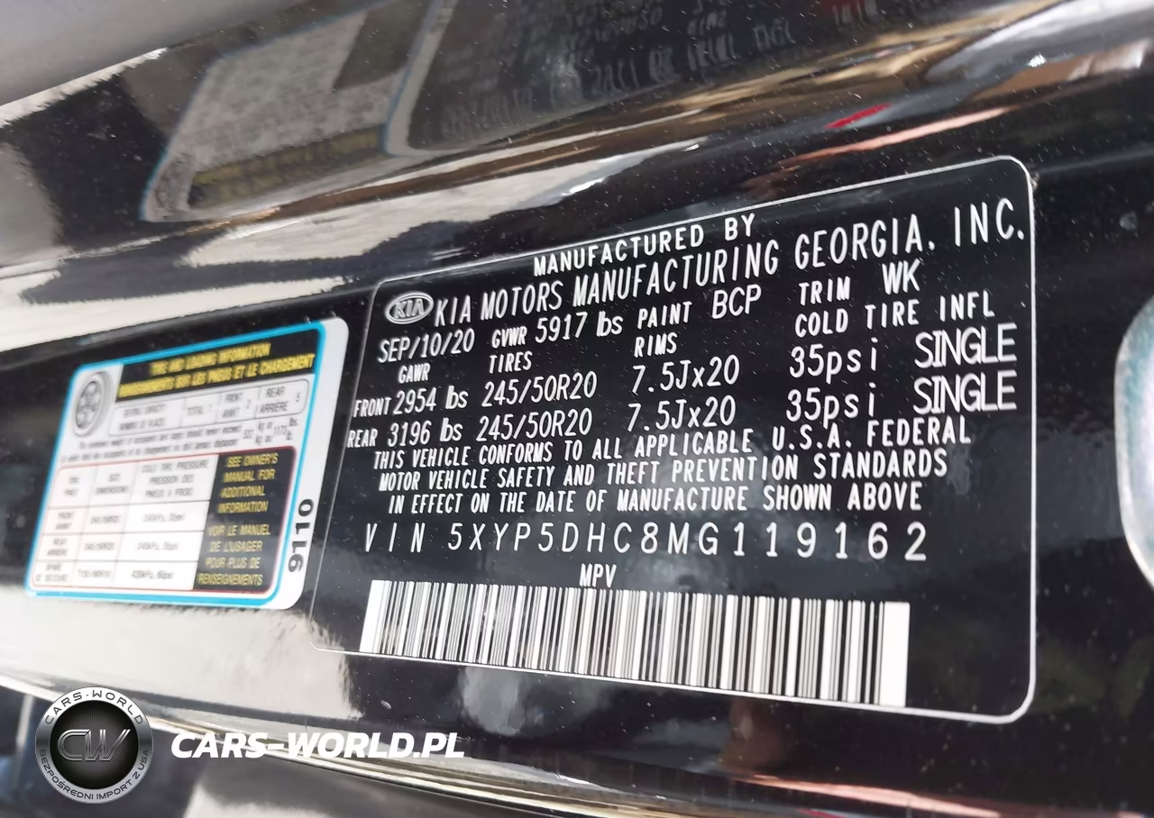 2021 Kia Telluride Sx VIN:5XYP5DHC8MG119162 - 8