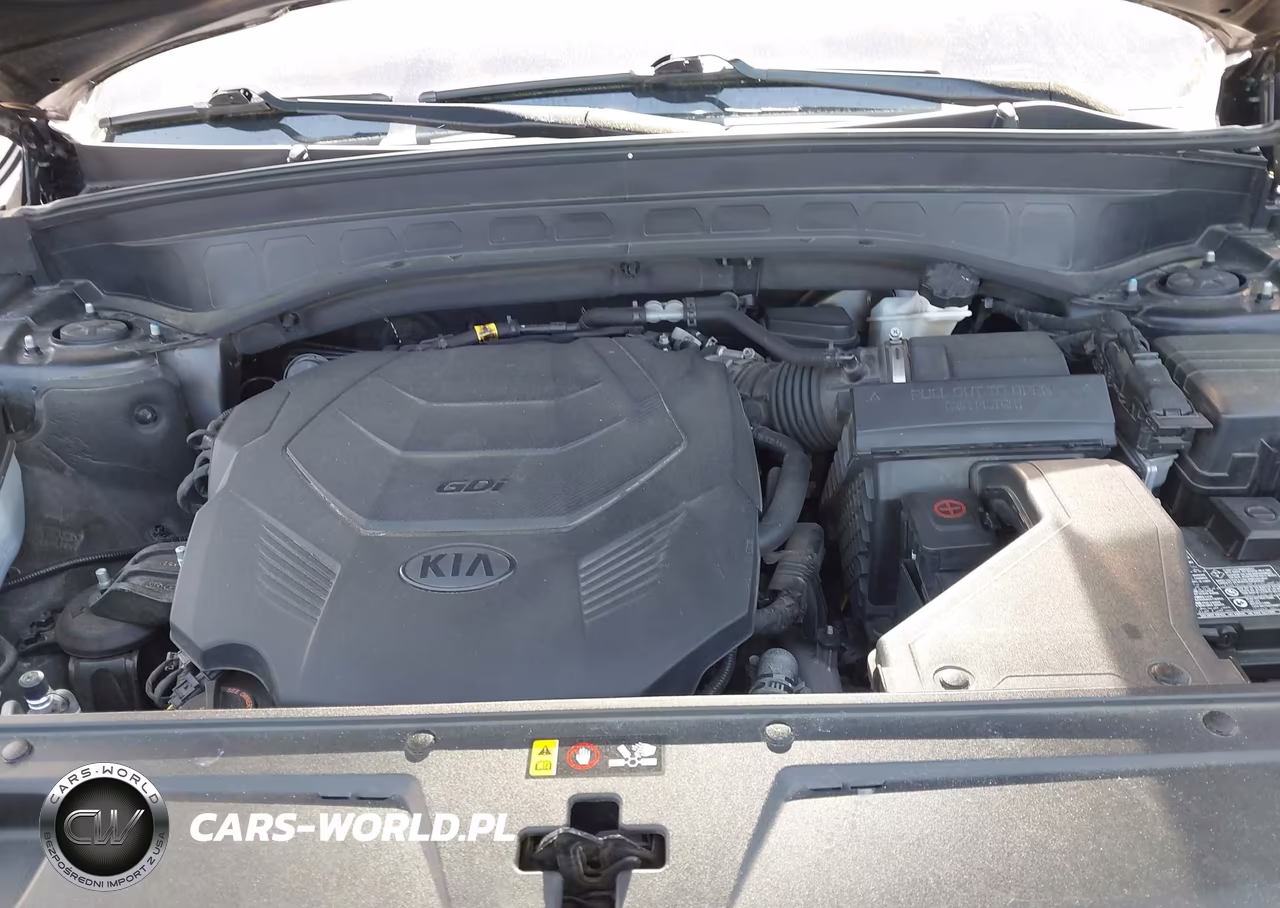 2021 Kia Telluride Sx VIN:5XYP5DHC8MG119162 - 9