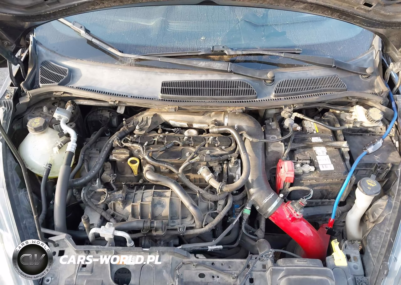 2014 Ford Fiesta St VIN:3FADP4GX5EM123553 - 10