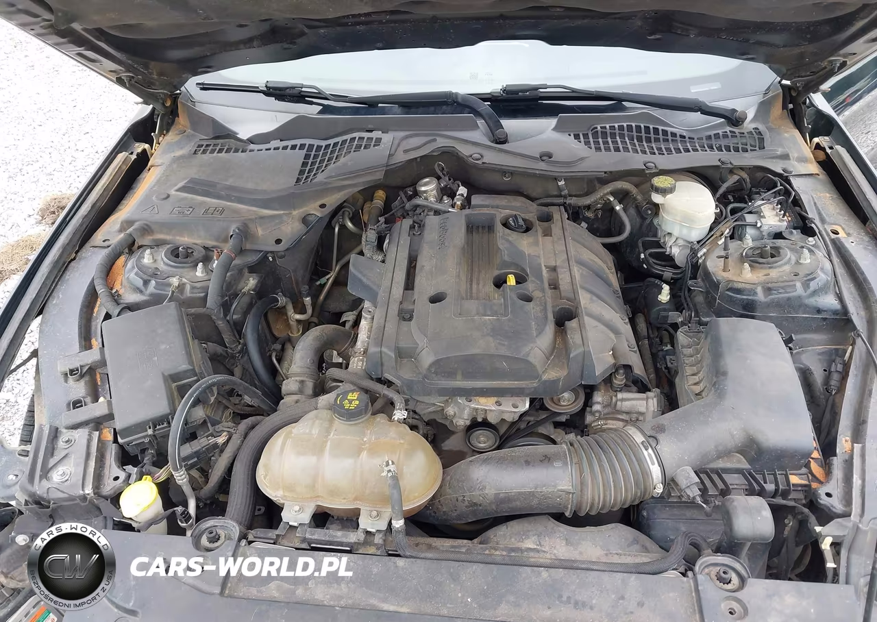 2015 Ford Mustang Ecoboost VIN:1FA6P8TH3F5317228 - 10