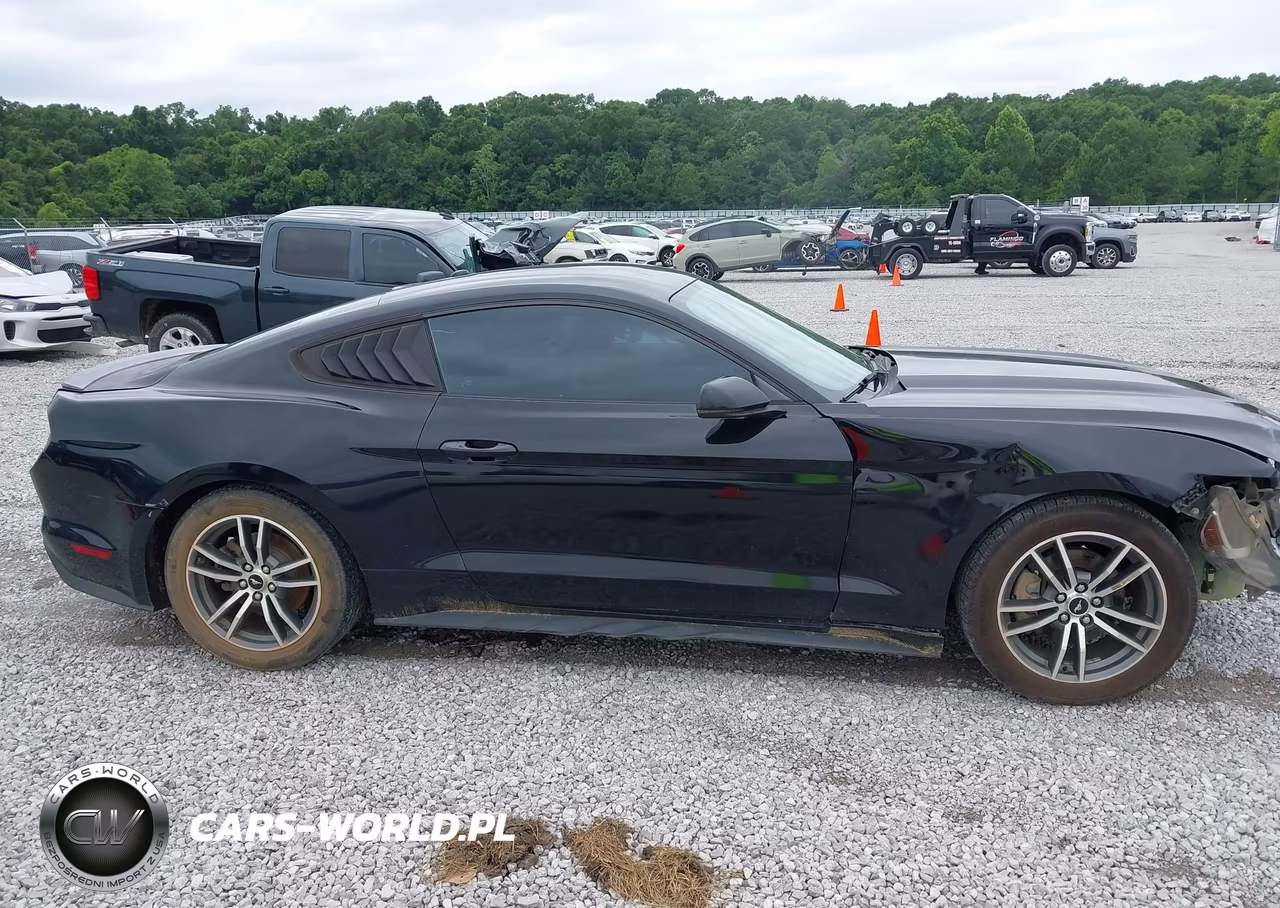 2015 Ford Mustang Ecoboost VIN:1FA6P8TH3F5317228 - 13