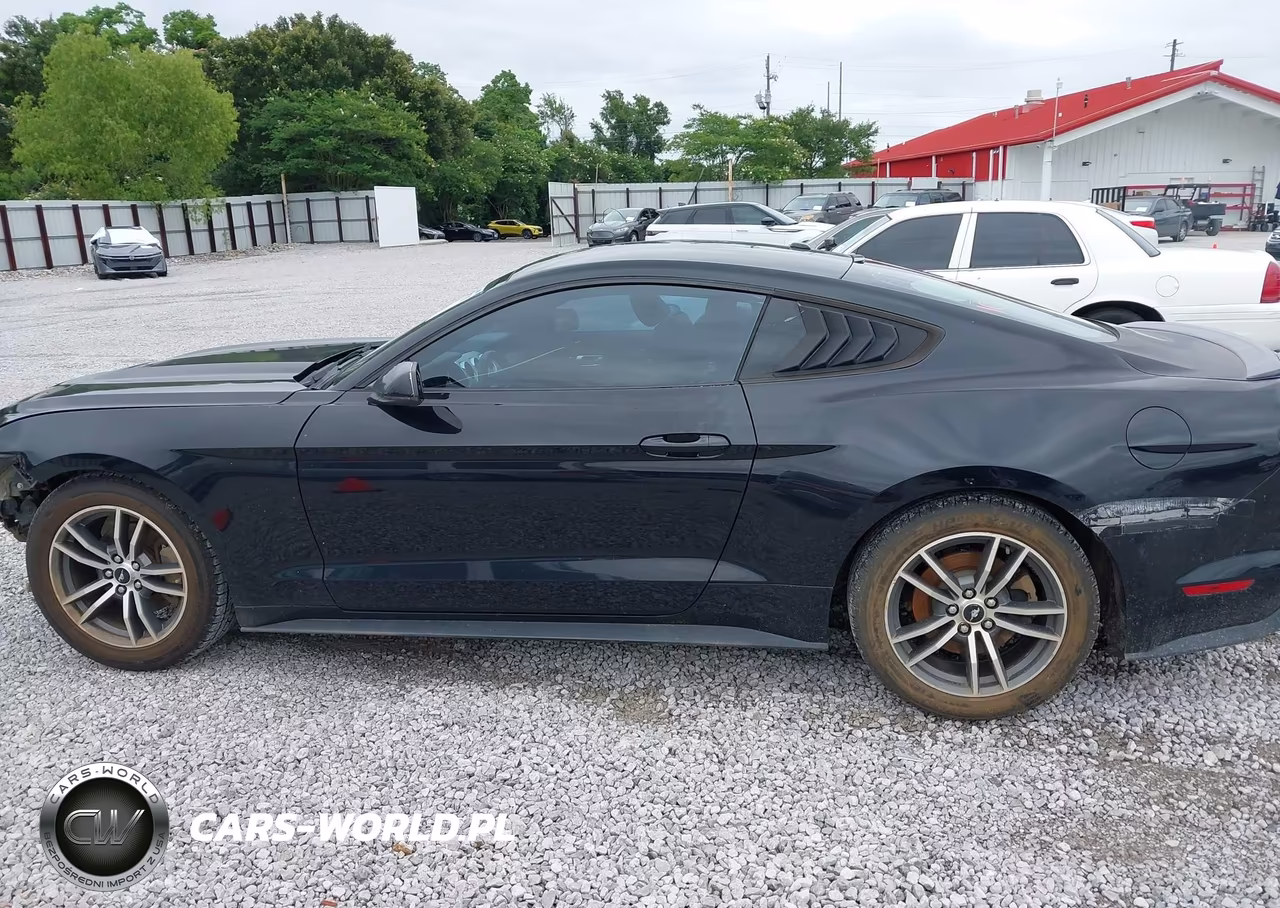 2015 Ford Mustang Ecoboost VIN:1FA6P8TH3F5317228 - 14