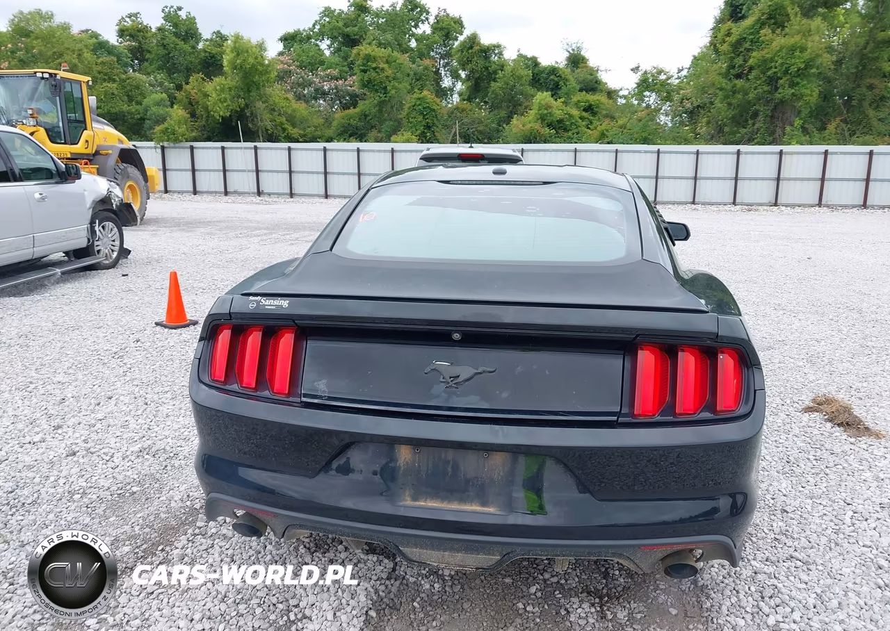 2015 Ford Mustang Ecoboost VIN:1FA6P8TH3F5317228 - 16