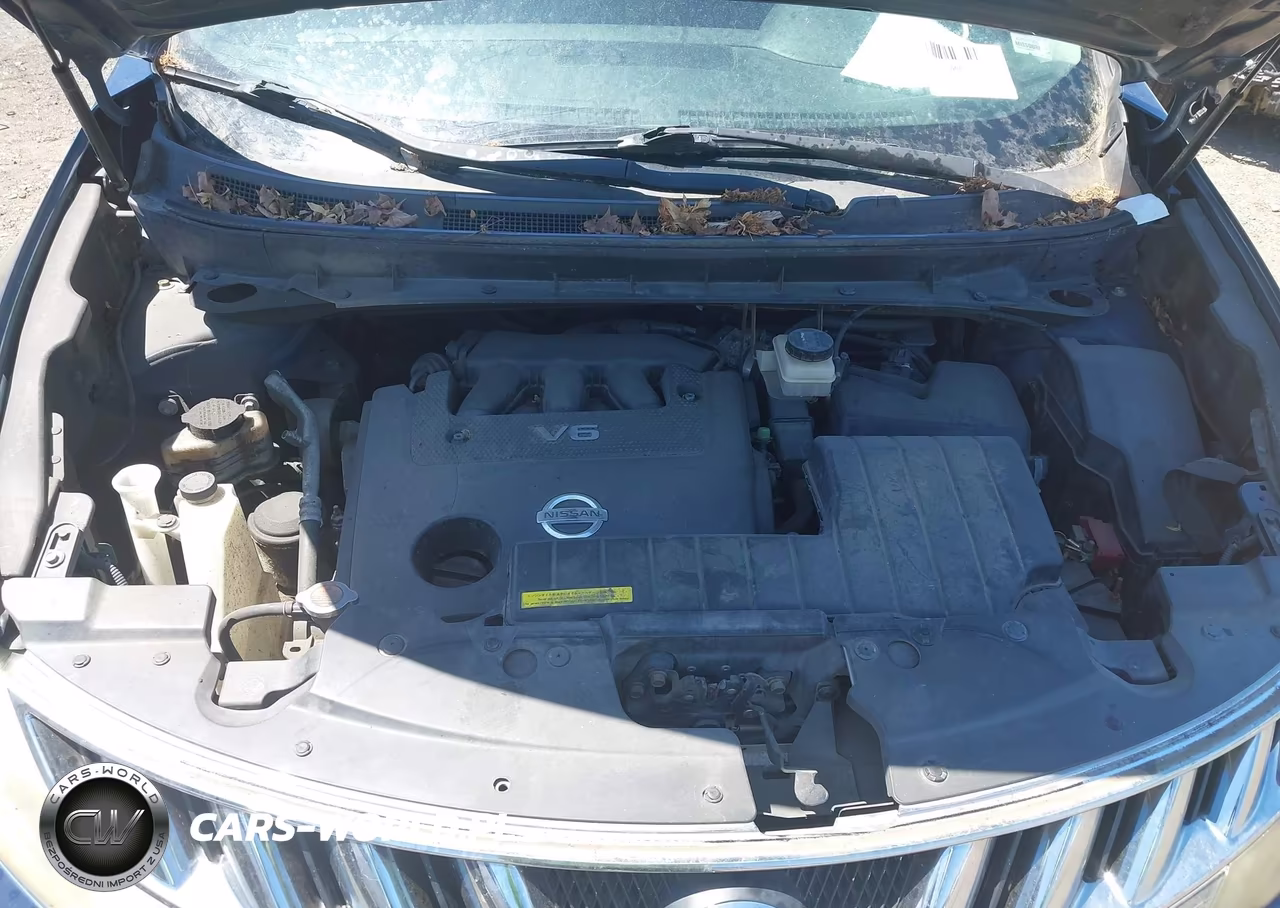 2009 Nissan Murano Le VIN:JN8AZ18W49W120374 - 10