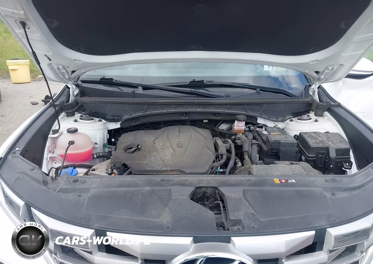 2024 Hyundai Santa Cruz Sel VIN:5NTJB4DE7RH117989 - 10