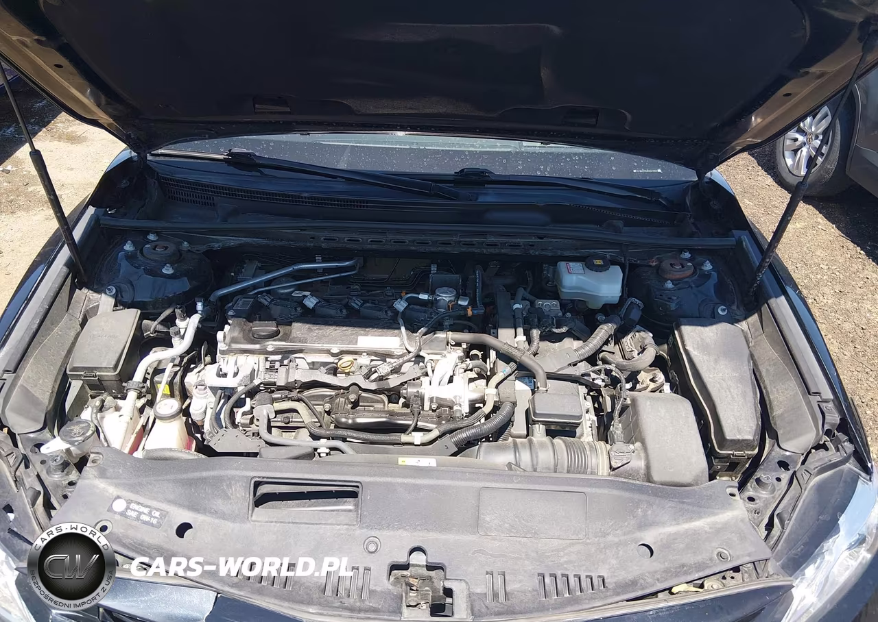 2019 Toyota Camry Hybrid Xle VIN:4T1B21HK2KU521923 - 10