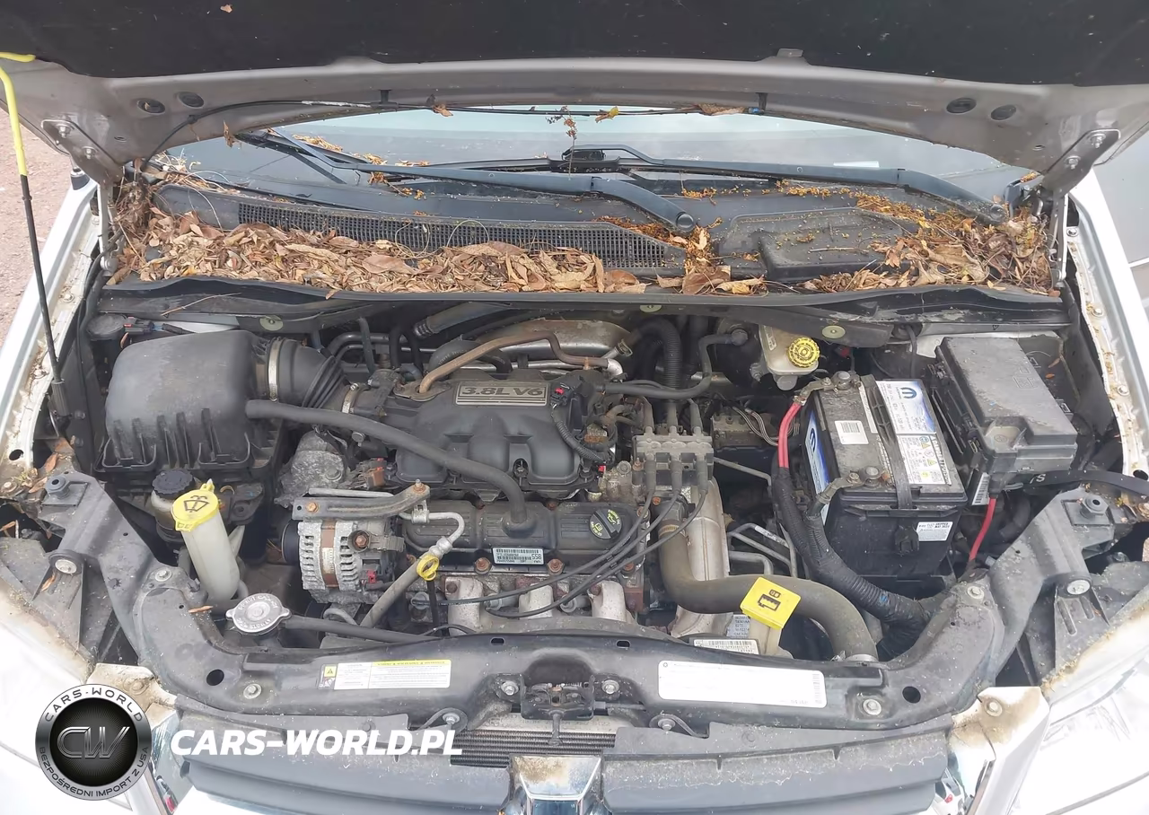 2010 Dodge Grand Caravan Sxt VIN:2D4RN5D18AR246880 - 10
