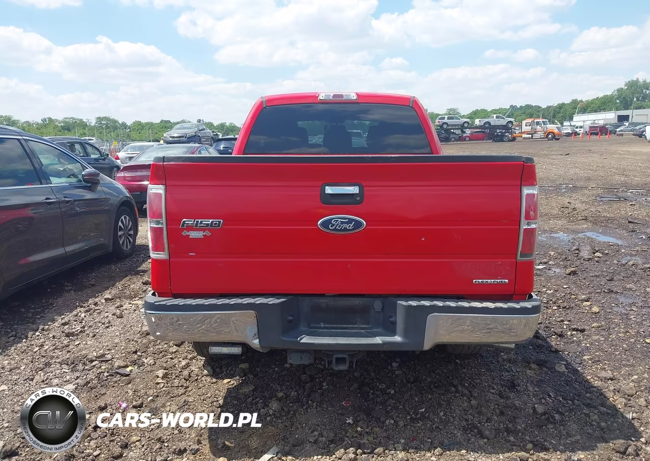2011 Ford F-150 Xlt VIN:1FTFX1CF1BFA16722 - 17