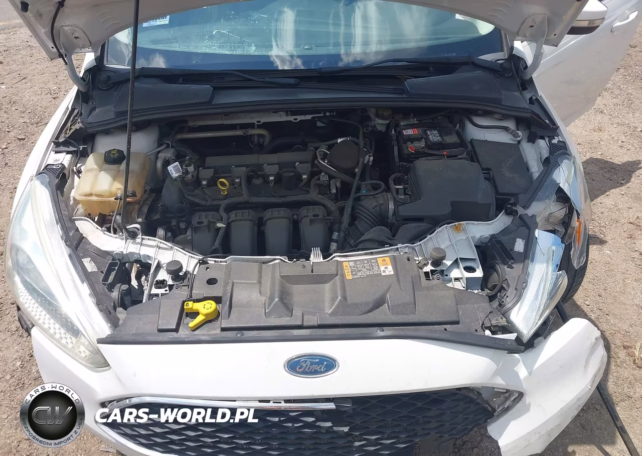2016 Ford Focus Se VIN:1FADP3F29GL290910 - 10
