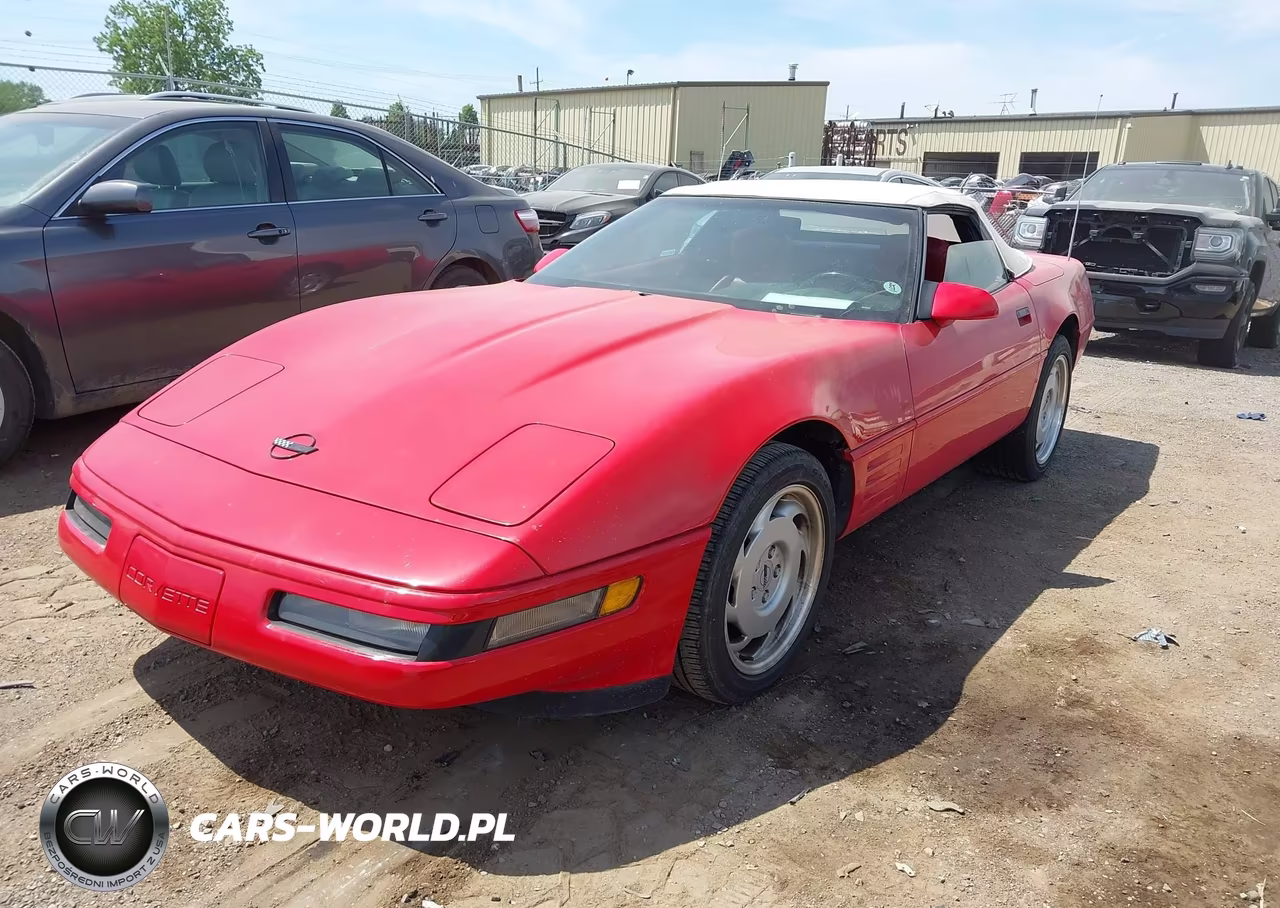 1991 Chevrolet Corvette VIN:1G1YY3385M5110705 - 2