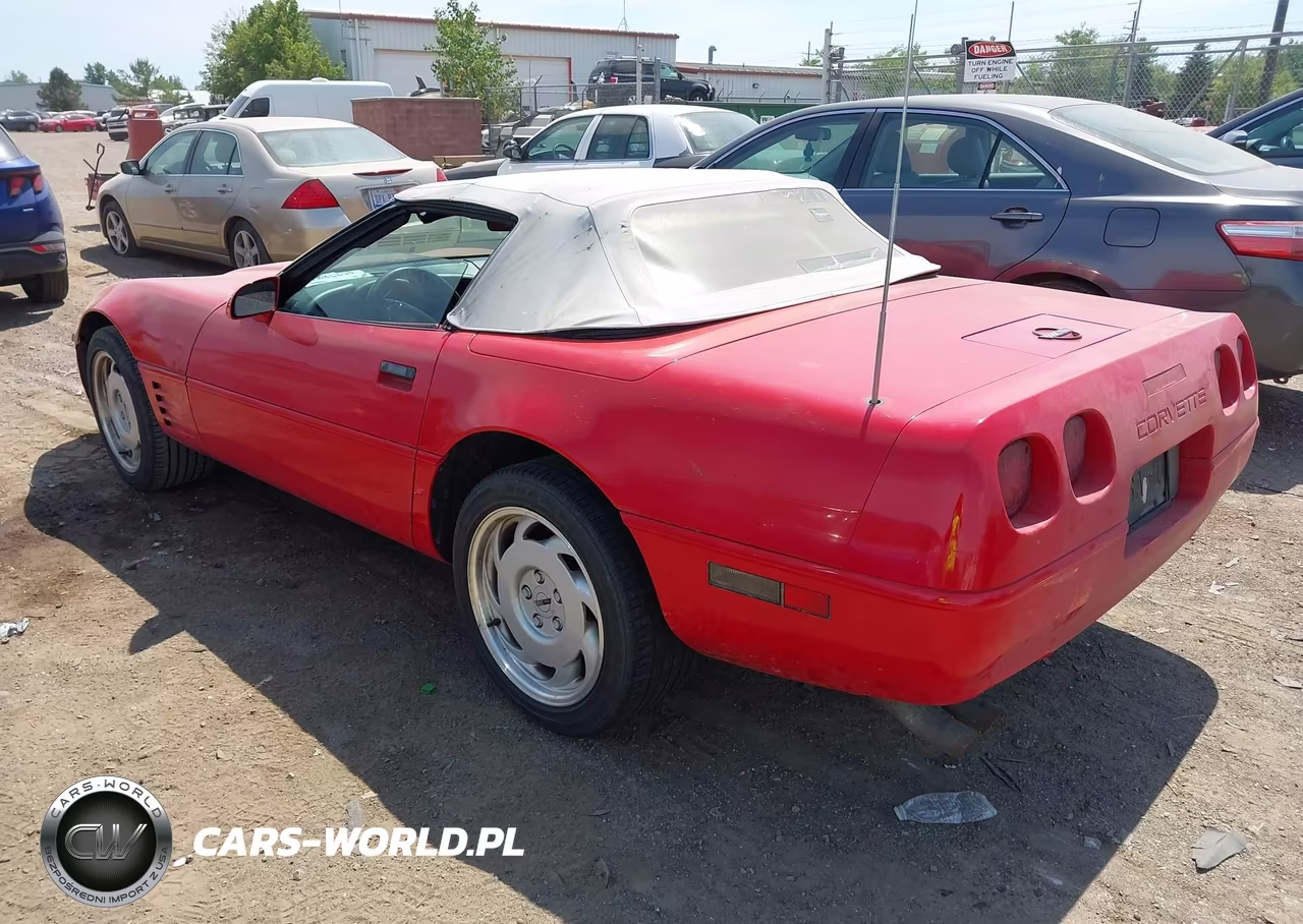 1991 Chevrolet Corvette VIN:1G1YY3385M5110705 - 3