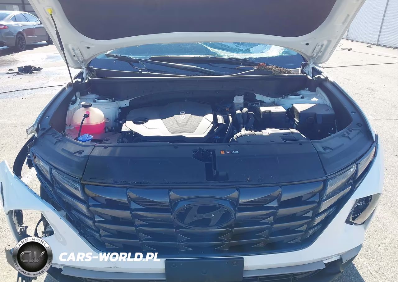 2024 Hyundai Tucson Sel VIN:5NMJBCDE4RH422436 - 10